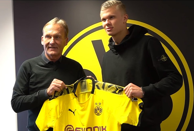 如边锋收到 如边锋收到